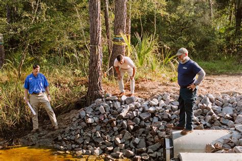 Flood Mitigation Projects Off To a Great Start - Kiawah Island ...