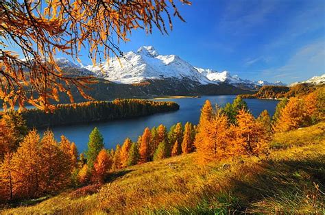 Swiss autumn, fall, autumn, shore, grass, falling, Switzerland, bonito ...