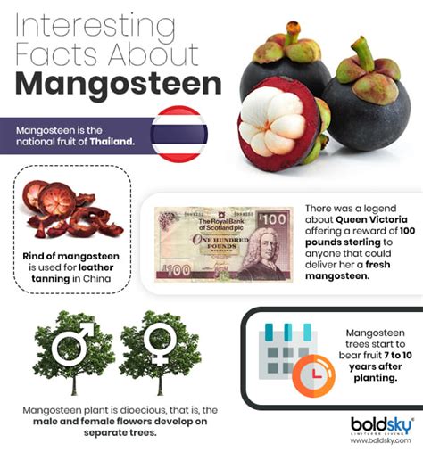 12 Surprising Health Benefits Of Mangosteen - Boldsky.com