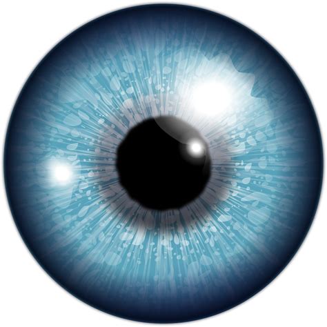 Eyeball Vector Art image - Free stock photo - Public Domain photo - CC0 ...