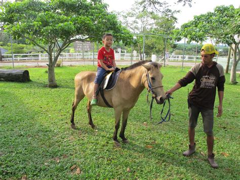 Horse Riding - UK FARM SDN BHD