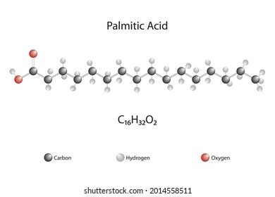 352 Palmitic acid Images, Stock Photos & Vectors | Shutterstock