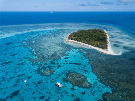 Finally visited the Great Barrier Reef for the first time - Lady ...