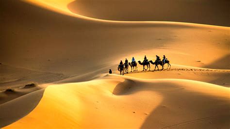 Sahara Desert, Morocco 2021: Top 10 Tours & Activities (with Photos ...