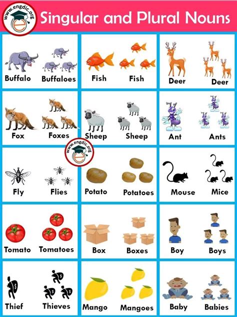 Singular Plural Nouns Worksheet - Printable Calendars AT A GLANCE