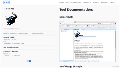 xss-工具-Beef-Xss安装以及使用_xss攻击工具-CSDN博客