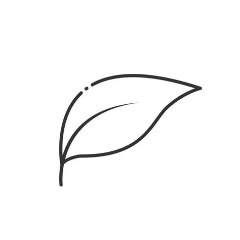 Leaf vector. Outline leaf icon on white background 8351532 Vector Art ...