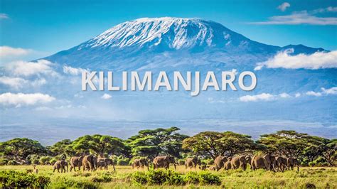 Mt. Kilimanjaro Summit Day - YouTube