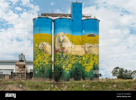 Silo Art by David Lee Pereira, Merriwa, NSW, Australia Stock Photo - Alamy