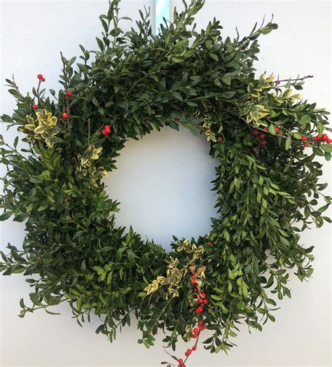 How to Make a Boxwood Wreath — NewGen® Boxwood