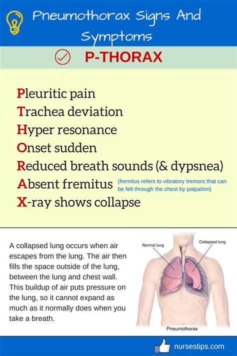 Pin on Physiology/ Anatomy IQ