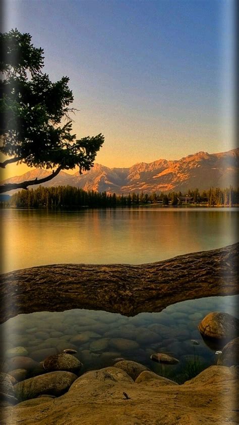 Beautiful nature scenery Wallpapers Download | MobCup