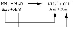 Bronsted Acids and Bases