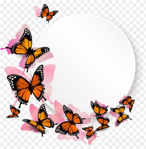 Free Flower Border Clip Art Black And White - Butterfly Png Monarch PNG ...