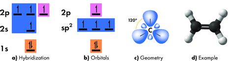 Sp2 Hybridization Examples