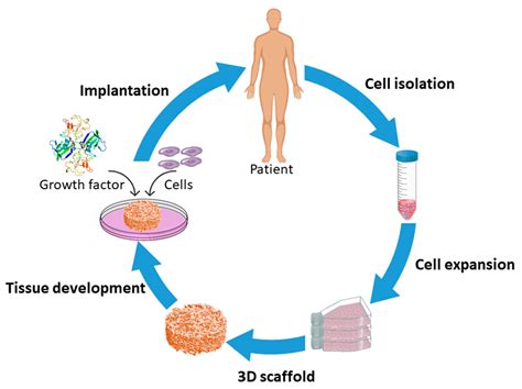 Nanomaterials | Free Full-Text | Fabrication and Plasma Modification of ...