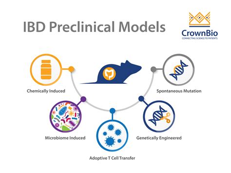 炎症性肠道疾病小鼠模型 - Crown Bioscience