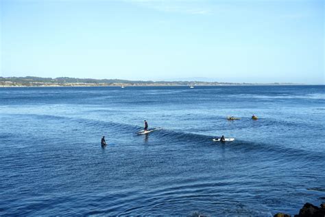 Capitola Surf & Paddleboard Lessons in Capitola, California