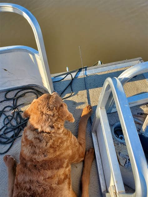 My fishing buddy forgot his license today. : r/Fishing