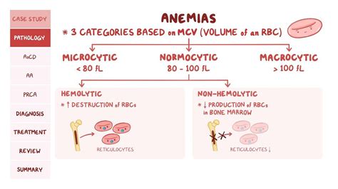 Non-hemolytic normocytic anemia: Pathology review | Osmosis