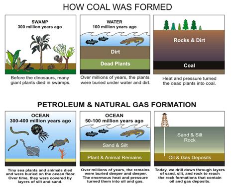 Fossil Fuel Formation