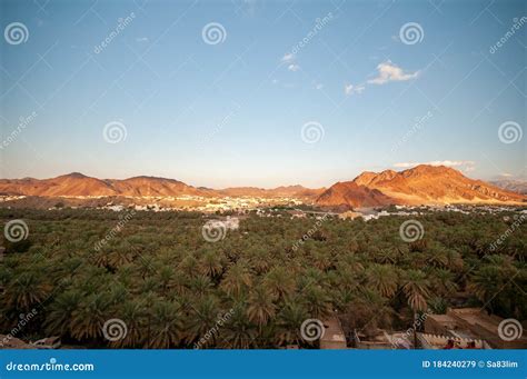 Date palms oasis stock image. Image of saudi, middle - 184240279