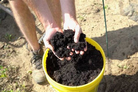 9 Different Kinds Of Mulch (And Which Is Best) - Geeky Greenhouse