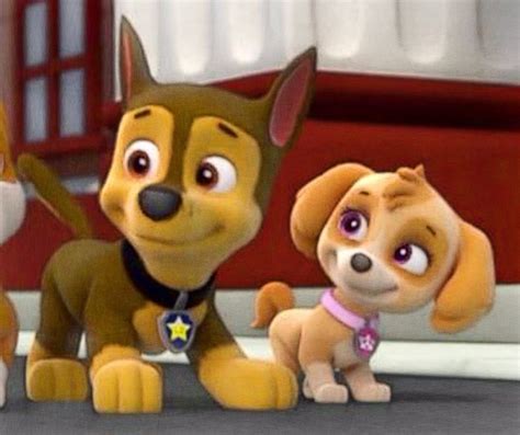 Skye and Chase - Skye and Chase - PAW Patrol Fan Art (39995179) - Fanpop