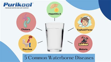 Waterborne Diseases that can be avoided by Drinking Clean Water – Purikool