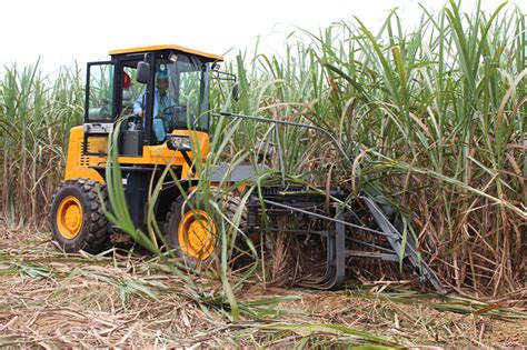 SH15 Cane Harvester, Sugarcane Cutter,sugar Cane Harvesting Machine ...