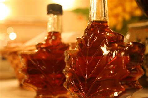 National Maple Syrup Day | Interesting Thing of the Day