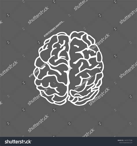 Vector Brain Icon Silhouette View Design Stock Vector (Royalty Free ...