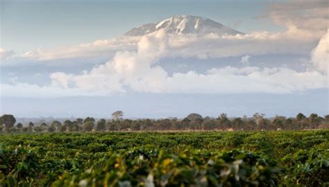 Kilimanjaro Weather - Unveiling the Sky's Symphony!