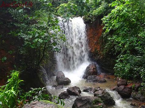 8 Spectacular waterfalls of Goa to visit in 2021