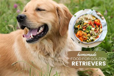 Best Golden Retriever Homemade Dog Food Recipes: Adult & Puppy - Canine ...