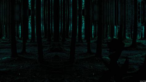 Top 999+ Dark Forest Wallpaper Full HD, 4K Free to Use