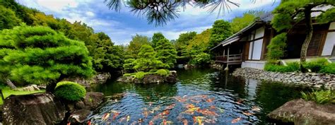 Japanese Koi Garden