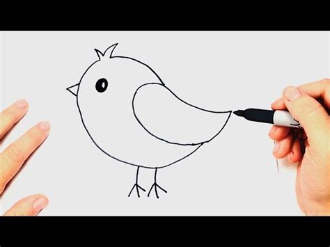 How To Draw A Bird For Beginners