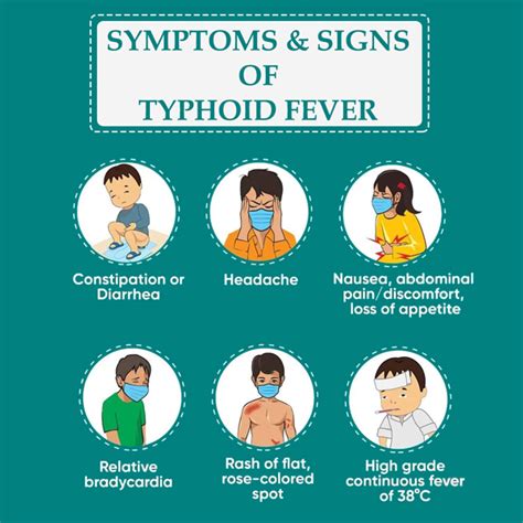 Symptoms, Treatment, and Diagnosis of Typhoid