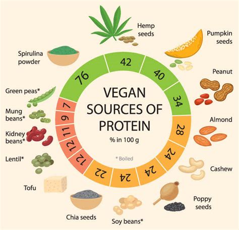 Vegan Protein Sources List