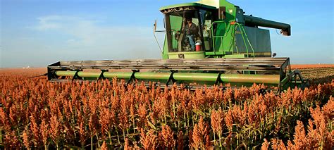 sorghum-tractor | Kansas Grain Sorghum