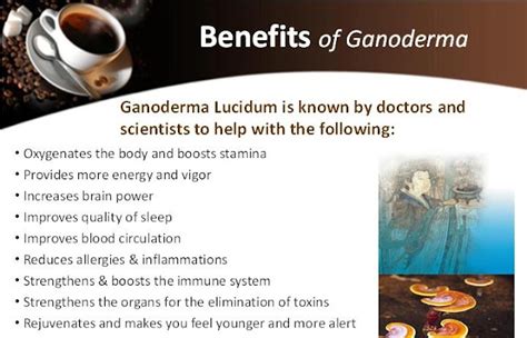 Ganoderma Lucidum Mushroom Coffee Health Benefits