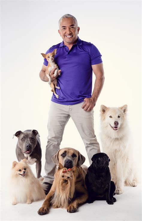 Cesar Millan, the Dog Whisperer, wants to train people, not dogs, into ...