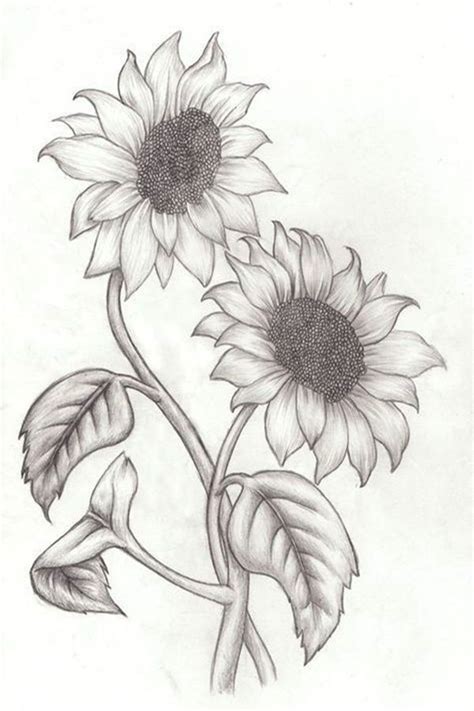 Easy Pencil Drawings For Beginners Flowers / Flowers are a great ...