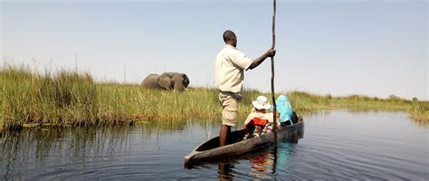 Okavango Mokoro Safaris | Okavango Safaris