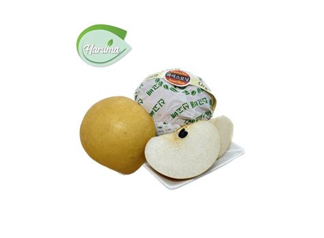 Singo Pear Jumbo[2pcs]两粒装巨大新高梨 – Haruma Senko Online