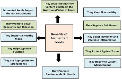 The most notable health benefits of fermented foods. | Download ...