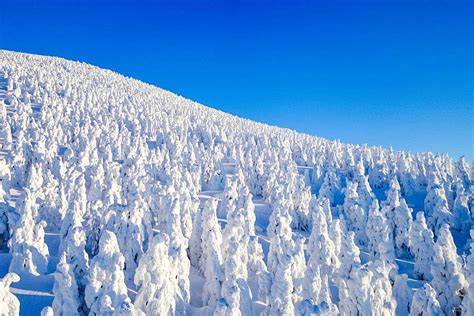 Matsushima, Ginzan Onsen and Zao: Experience the Snow Scene - Japan ...