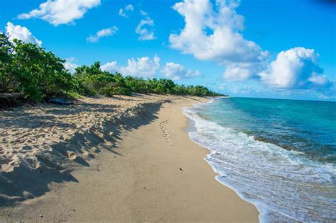 4 St. Croix Beaches You Should Definitely Visit