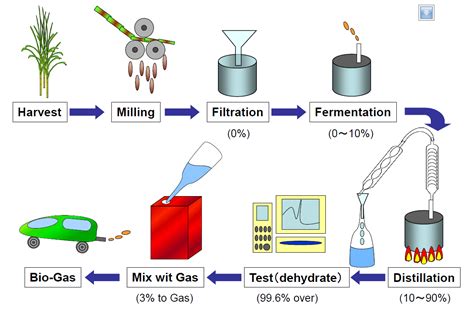 Biofuel: Sources, Extraction and Determination | IntechOpen